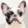 Mindfrog.Sui